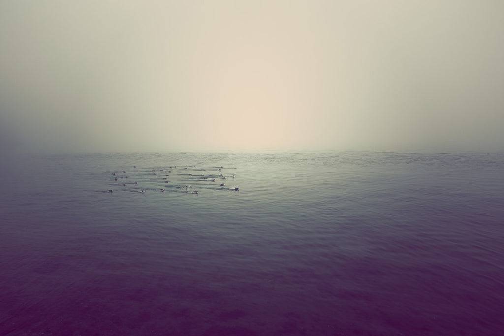 Sea Birds Photo Skirt