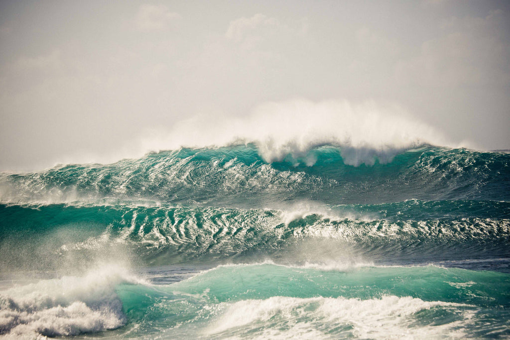Shiny Waves Fashion + Yoga Capris